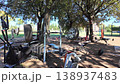 Outdoor gym scene under trees with various fitness equipment and weights in a sunny park setting during the day 138937483