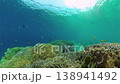 Coral reef underwater with fishes and marine life. Coral reef and tropical fish. Philippines. 138941492