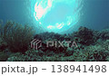 Tropical coral reef. Underwater fishes and corals. Philippines. 138941498