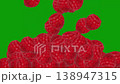 Falling fresh raspberries motion graphics with green screen background 138947315