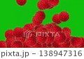 Falling fresh rambutan fruits motion graphics with green screen background 138947316