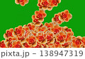 Falling orange color rose flowers motion graphics with green screen background 138947319