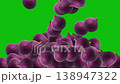 Falling fresh fig fruits motion graphics with green screen background 138947322