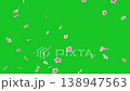 Falling cherry flowers motion graphics with green screen background 138947563