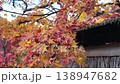Nov 28 2025 Autumn Radiance Within Sacred Hogon-in Temple, Vibrant maple leaves frame a historic Zen 138947682