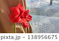 Hippeastrum amaryllis Pink Symphony. Large blooming flower pink color near window on winter day. Big blooming flower with red petals. Perennial bulbous flower. Decorative Inflorescence houseplant. 138956675