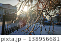 Tree branches covered in ice and illuminated by shining sun on city street on winter day. Ice-covered branch on tree with sun shining through. Winter View Snow frost Nature backdrop Natural background 138956681