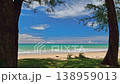 Aerial view drone flying through pine tree to sand beach, Phang nga, Thailand 138959013