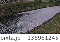 Cherry blossoms and flower rafts along the Kyoto Philosopher's Path Canal 138961245