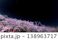 月光に照らされた桜とスタートレイル_02 月光に照らされた桜とスタートレイル_02 138963717
