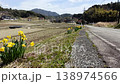 Yellow flowers swaying in the wind and a rural road scene 138974566