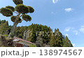 A landscape featuring a wide blue sky, a Japanese house, and trees. 138974567