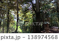 A tranquil scene of a forest bathed in dappled sunlight and stone lanterns. 138974568
