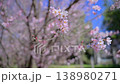 春の訪れを感じるピンクの桜とボケ味のある背景 138980271
