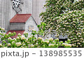 138985535