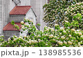 138985536