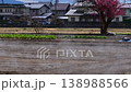 籠罩在薄霧中的田野 [安曇野] 138988566