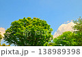 青空の雲と新緑の木々 138989398