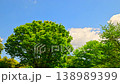 青空の雲と新緑の木々 138989399