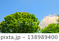 青空の雲と新緑の木々 138989400