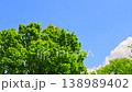 青空の雲と新緑の木々 138989402