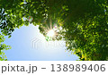 新緑の木から漏れる太陽の光 138989406
