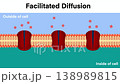 Facilitated Diffusion Animation Showing Molecules Passing Through Protein Channels Across Cell Membrane for Biology Education 138989815