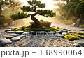 Sunlit miniature bonsai tree arranged with smooth stones and moss in peaceful zen garden setting 138990064