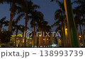 Palm Trees Illuminated at Night in Urban Park 138993739