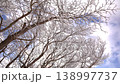 【禦在丈山】雲霧繚繞，雪花從覆蓋霜雪的樹木上飄落。 138997737