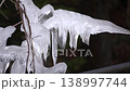 枝頭冰柱上滴落的水珠 138997744