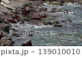 Wave of the island 139010010