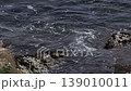 Wave of the island 139010011