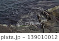 Wave of the island 139010012