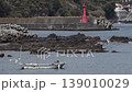 The landscape of the island 139010029