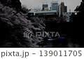 【東京・千鳥ヶ淵】　夜桜　桜が満開 　手漕ぎボート 　〓全体へ 139011705