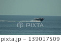 Boat speed ocean, patrol boat quickly crossing blue sea surface on a bright sunny day 139017509
