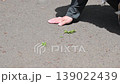 A man checks the road surface temperature by touching it with his hand while walking his dog. 139022439