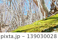 在山路上偶然發現的美麗景色 139030028
