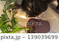 cat by the window eating houseplant aroid palm. Vertical footage. 139039699