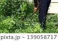 Trimming Grass with knife 139058717