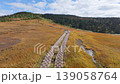 251005 Naeba Mountain 139058764