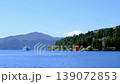 Lake Ashi (Spring) 139072853