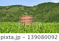 Tea basket and tea leaves 139080092