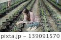 Agricultural concept of 4k resolution. Schoolchildren inspect corn seedlings and use tablets to record data in the Agricultural Education Center. 139091570