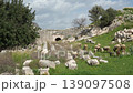 Sheep grazing among the ancient ruins and arched entrance of Letoon Sacred Area, historic Lycian ruins near city of Xanthos, Mugla, Turkey 139097508
