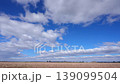 Timelapse, 4K, panoramic view of a field and a clear blue sky with cumulus clouds flying across it, daytime 139099504