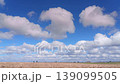 Timelapse, 4K, panoramic view of a field and a clear blue sky with cumulus clouds flying across it, daytime 139099505