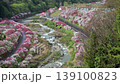 Hanamo no Sato 139100823