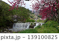Hanamo no Sato 139100825